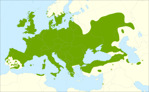 Prunus spinosa range.svg