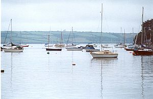 Restronguet Creek - geograph.org.uk - 13935