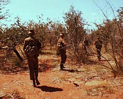 SADF-Operations 4