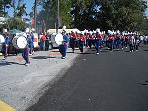 SSU band