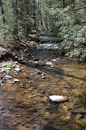 Sand Spring Run looking upstream