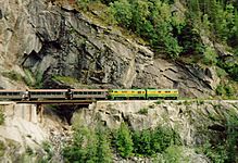 Skagway Train