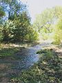 Sonoita Creek Arizona 2014