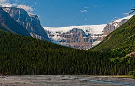 Stutfield Glacier from Icefields Parkway