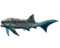 Titanichthys termieri