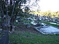 Toowong Cemetery 7