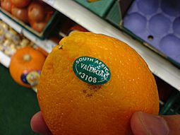 Valenciaorange