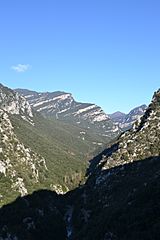 Vall de Sant Aniol