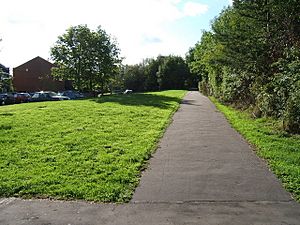 Walton summit remains