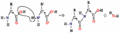 2-amino-acidsb