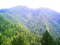 Abbottabad