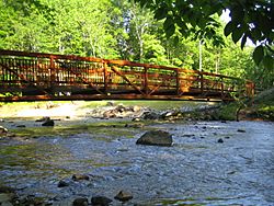 Image of Accotink Creek