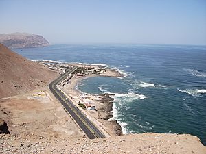 Arica038