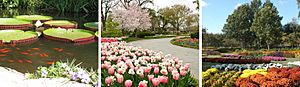 Dallas Arboretum Seasons