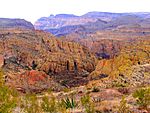 Tonto National Forest canyons from above.