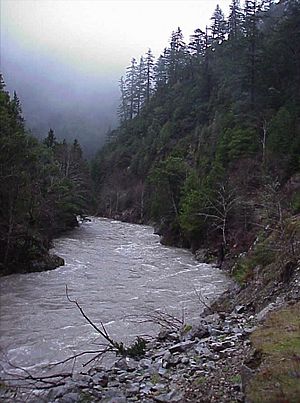 Elk River with high water