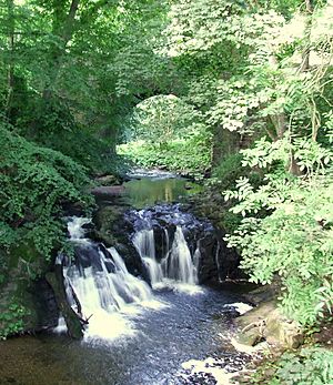 Falls and bridge at Arbirlot