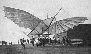 GustaveWhitehead Albatros