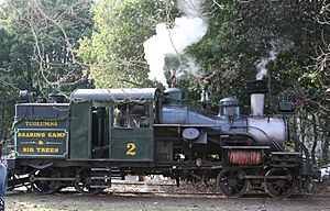 Heisler locomotive - 2 cylinders in "V" configuration (3153874023)