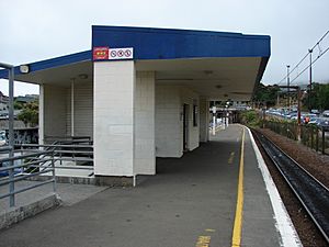 Johnsonville railway station 01