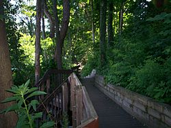 Kent Boardwalk 1