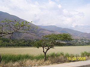 Urao lagoon