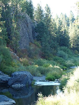 Latah Creek in Vinegar Flats