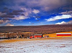 Lynn Township farm