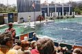 MarineWorld1970