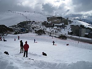 Mt-Hotham-Village-2008