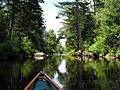 Oswegatchie River near site 28