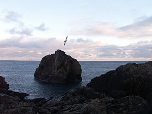 Out Skerries Lamba Stack