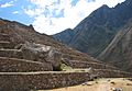 Patallacta Terraces