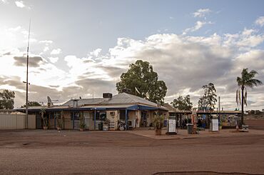 Paynes Find 030923 Gnangarra-17.jpg