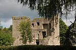 Quoile Castle, geograph.jpg