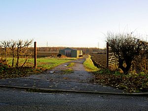 Rhubarb Shed