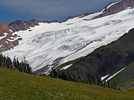 Roosevelt Glacier 21701.JPG