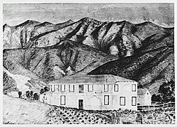 SanchezAdobe1885