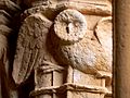 Santes Creus Cloister Owl 2