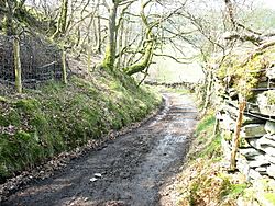 Sarn Helen near Betws