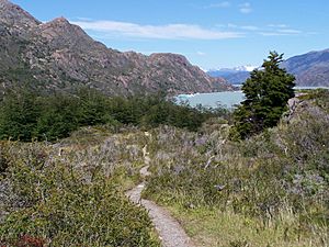 Sendero (torres del paine)