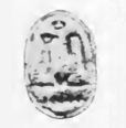 Sewadjenra Scarab Petrie.png