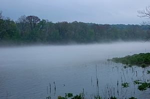 Taneycomo fog