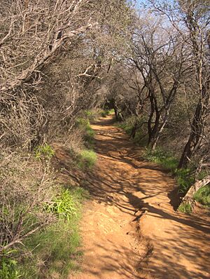 Temescal Canyon Ridge Trail