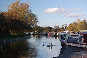 White Bear Marina, on the Leeds and Liverpool Canal, Adlington, Chorley, Lancashire. - geograph.org.uk - 370555