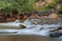 Zion Virgin River EF1