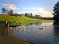 Arbroath Keptie Pond