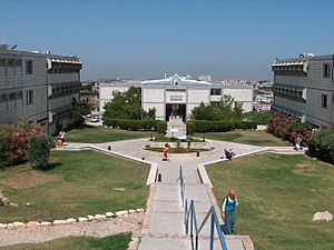 Ariel University Center