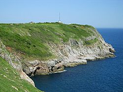 BerryHead750px