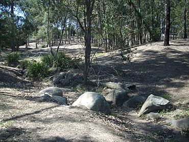 Bowman Park, Everton Hills.jpg